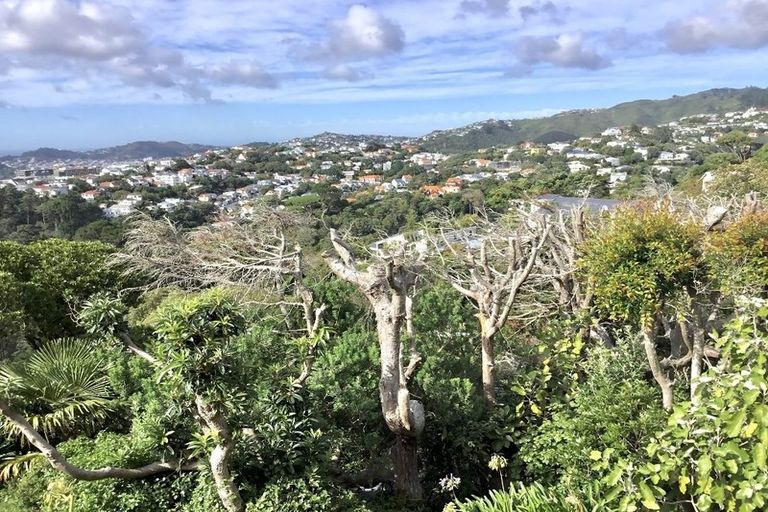 Photo of property in 61 Orangi Kaupapa Road, Northland, Wellington, 6012