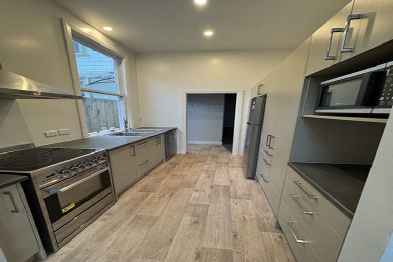 Photo of property in 117 Constable Street, Newtown, Wellington, 6021