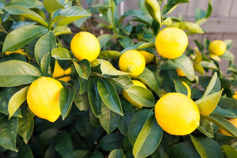 Photo of property in 1 William Street, Marton, 4710