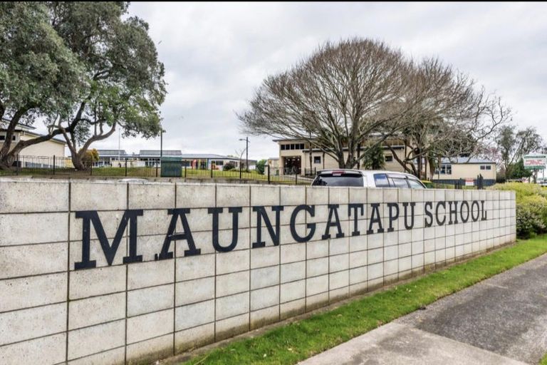 Photo of property in 141c Maungatapu Road, Maungatapu, Tauranga, 3112