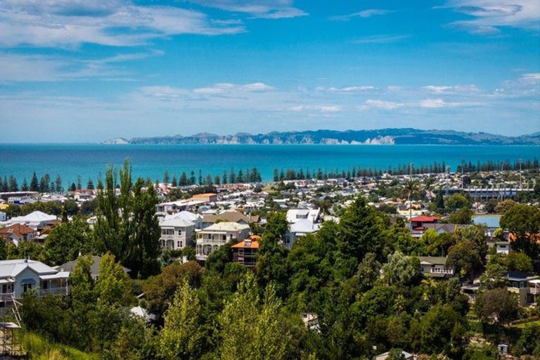 Photo of property in 54 Napier Terrace, Hospital Hill, Napier, 4110