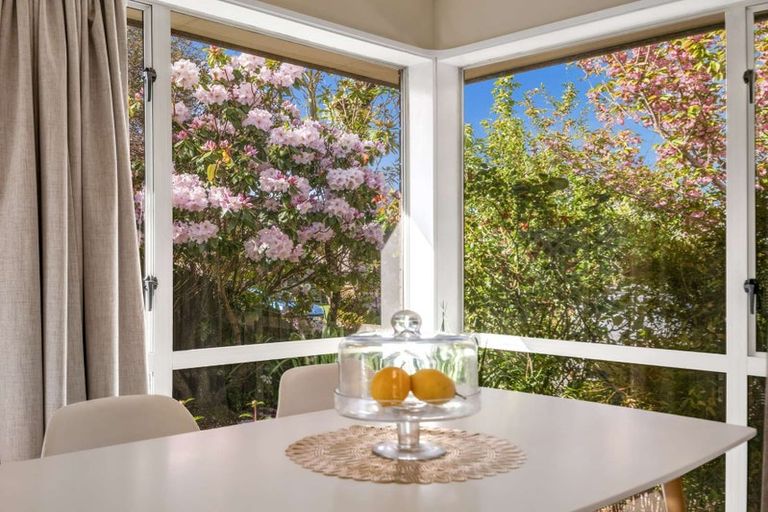 Photo of property in 213a White Street, Rangiora, 7400