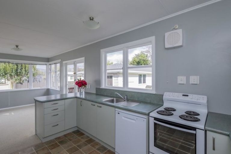 Photo of property in 51 Graham Street, Levin, 5510