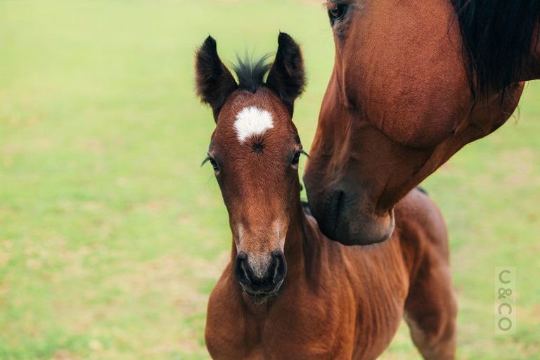 Photo of property in 589 Inland Road, Helensville, 0875
