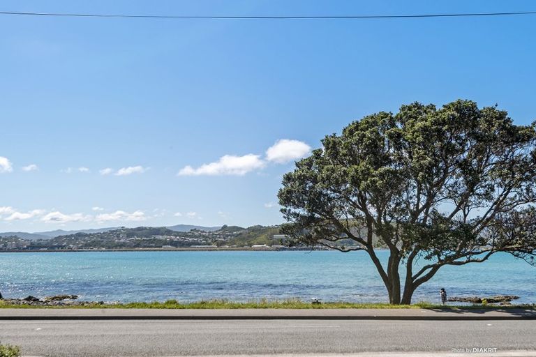 Photo of property in 302 Queens Drive, Lyall Bay, Wellington, 6022