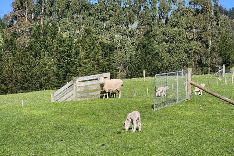 Photo of property in 93 Three Mile Hill Road, Halfway Bush, Dunedin, 9076