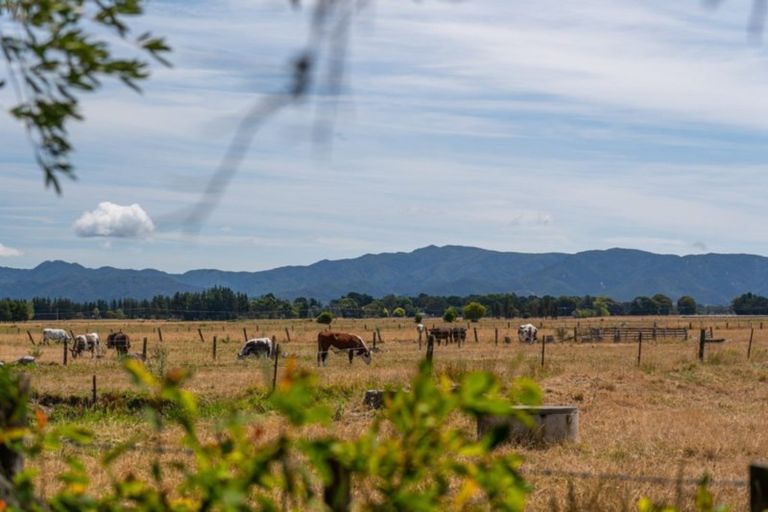 Photo of property in 8 Wards Line, Morison Bush, Greytown, 5794