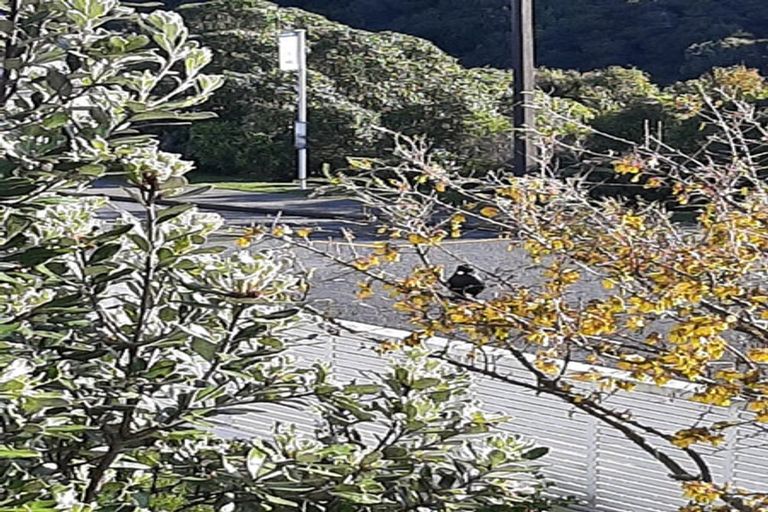 Photo of property in 112 Dowse Drive, Maungaraki, Lower Hutt, 5010