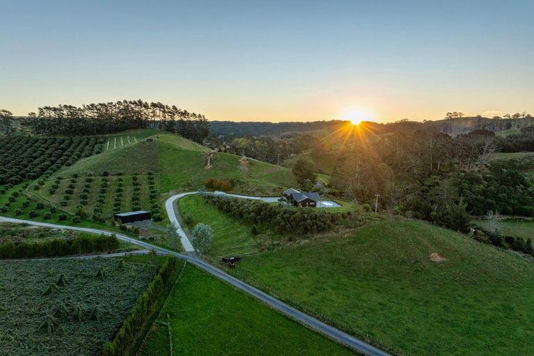 Photo of property in 495a Crawford Road, Minden, Tauranga, 3171