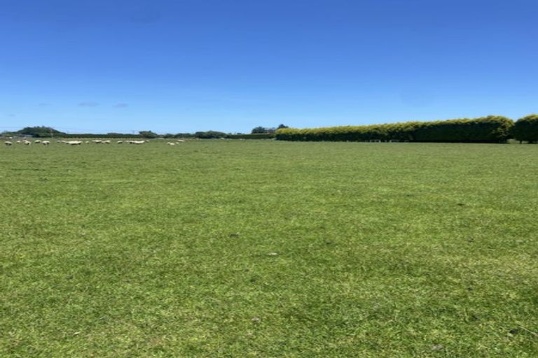 Photo of property in 38 Wills Road, West Plains, Invercargill, 9874
