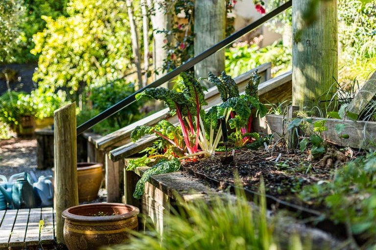 Photo of property in 52 Walter Road, Lowry Bay, Lower Hutt, 5013