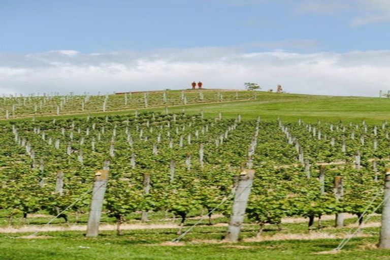 Photo of property in 33 Ella Anne Crescent, Warkworth, 0910