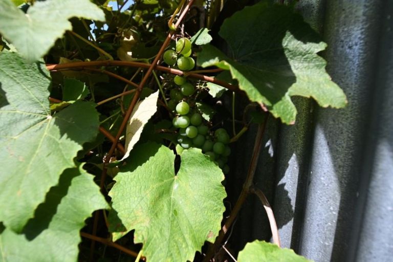 Photo of property in 62 King Street, Waiuku, 2123