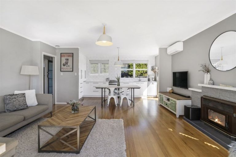 Photo of property in 3 Catrina Avenue, Birkenhead, Auckland, 0626