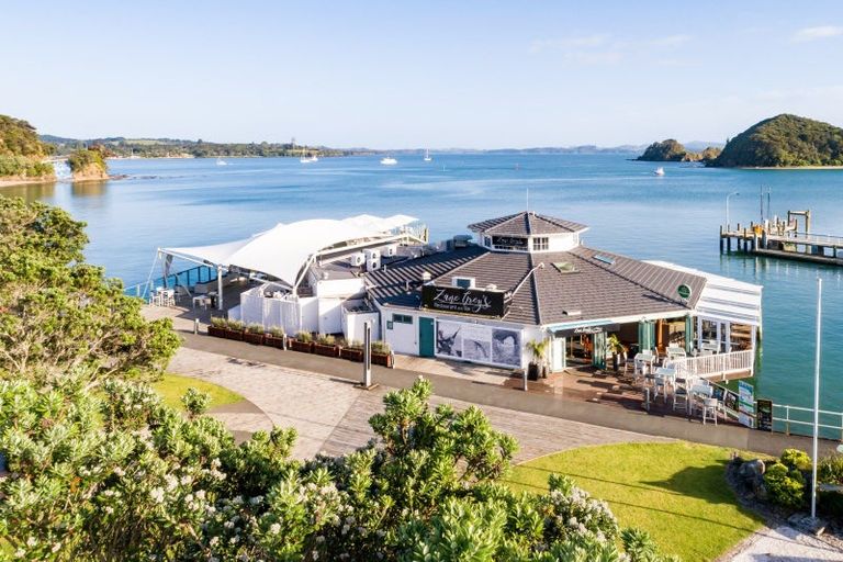 Photo of property in 9 Silver Fern Avenue, Hobsonville, 0616