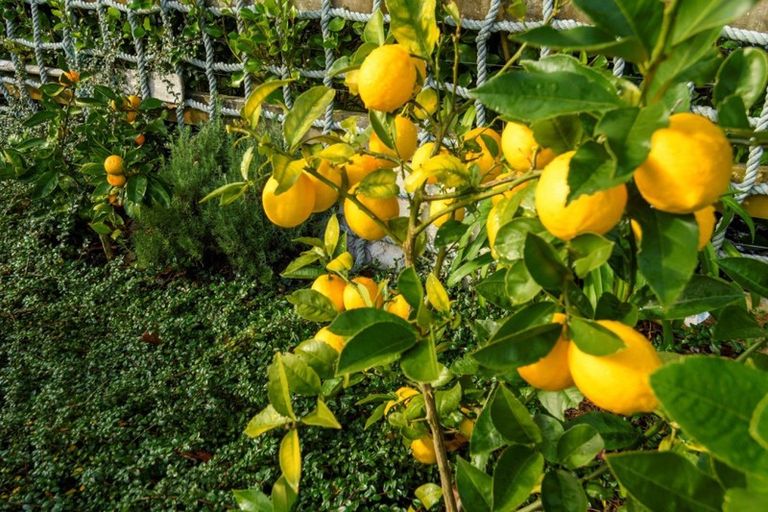 Photo of property in 195r Oropi Road, Oropi, Tauranga, 3173
