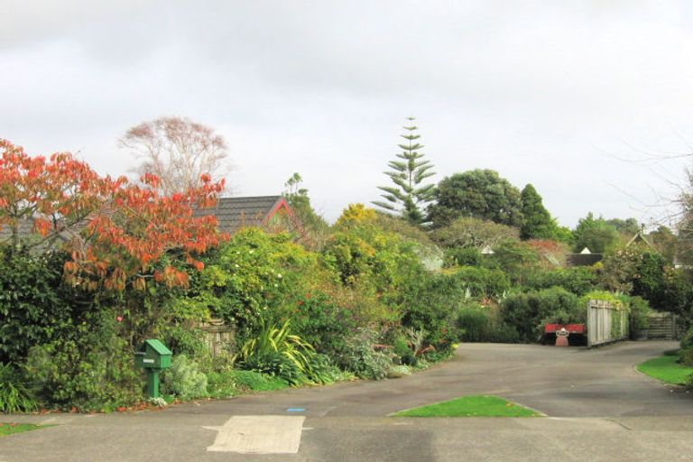 Photo of property in 55a Park Avenue, Waikanae, 5036