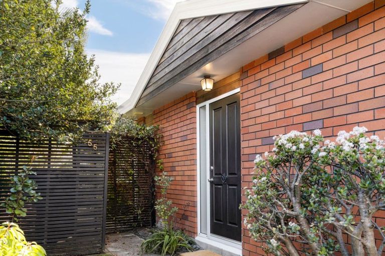 Photo of property in 55 Bayfair Drive, Mount Maunganui, 3116