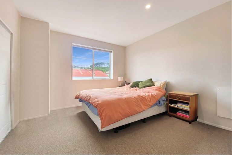 Photo of property in Aniva Terrace, 14 Ferguson Street, Newtown, Wellington, 6021