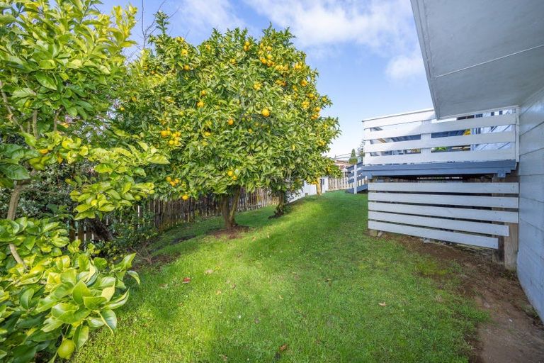 Photo of property in 204 Raikes Avenue, Te Awamutu, 3800