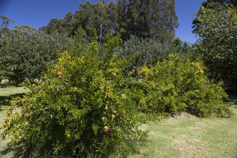 Photo of property in 810 Gill Road, Kaitaia, 0483