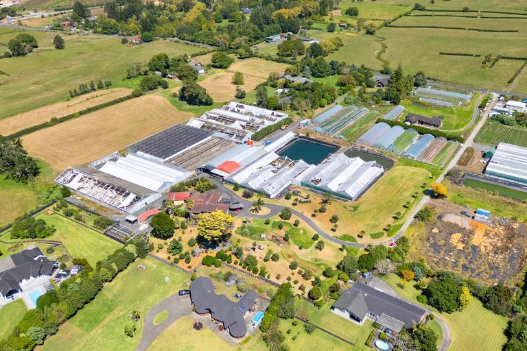 Photo of property in 123 Jesmond Road, Karaka, Drury, 2578