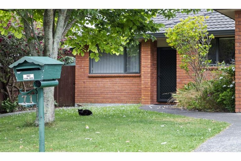 Photo of property in 71 Riverside Drive, Waiuku, 2123