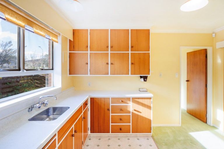 Photo of property in 59 Buick Crescent, Awapuni, Palmerston North, 4412