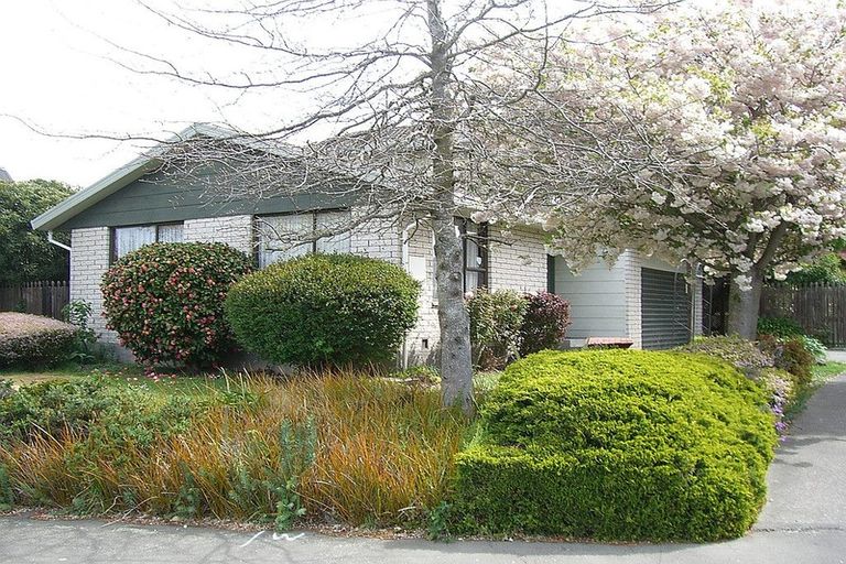 Photo of property in 24 Millstream Drive, Lincoln, 7608