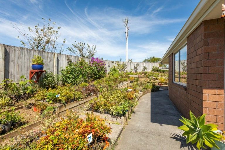 Photo of property in 22 Orchard Road, Waihi, 3610