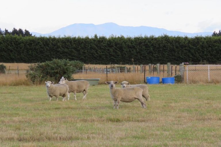 Photo of property in 202 Rakaia Barrhill Methven Road, Rakaia, 7784