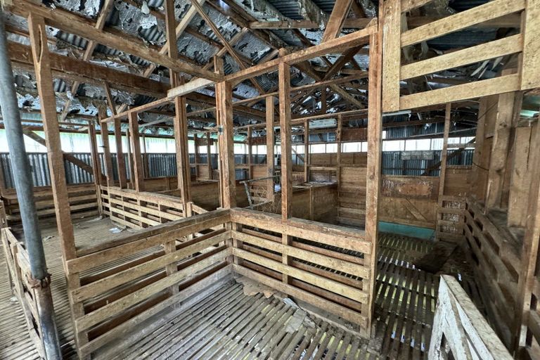 Photo of property in 445 Avoca Road, Mamaranui, Dargaville, 0372