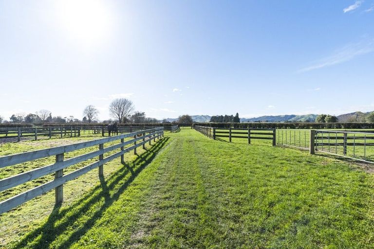 Photo of property in 365 Maungatautari Road, Cambridge, 3494