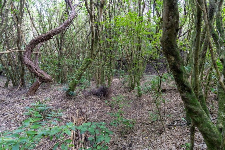 Photo of property in 3 Ridgeview Lane, Paraparaumu, 5032