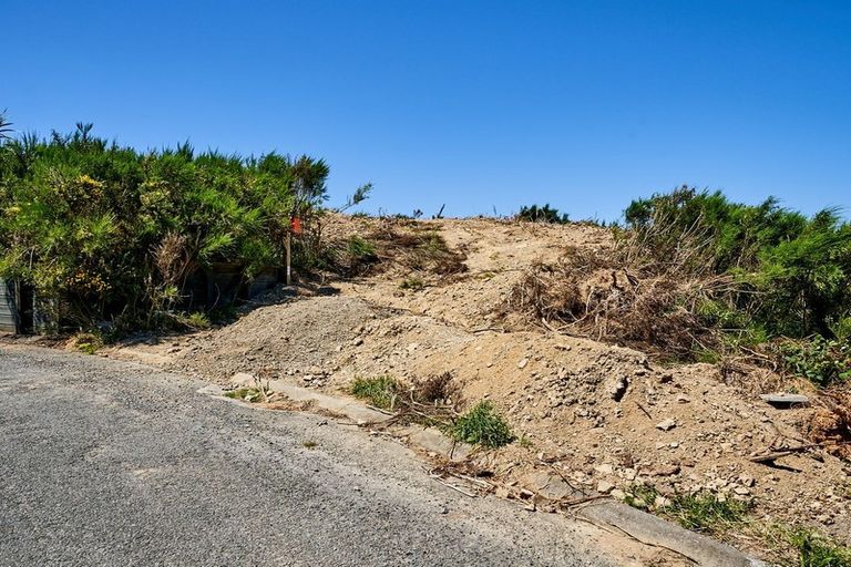 Photo of property in 17 Grumman Lane, Newlands, Wellington, 6037