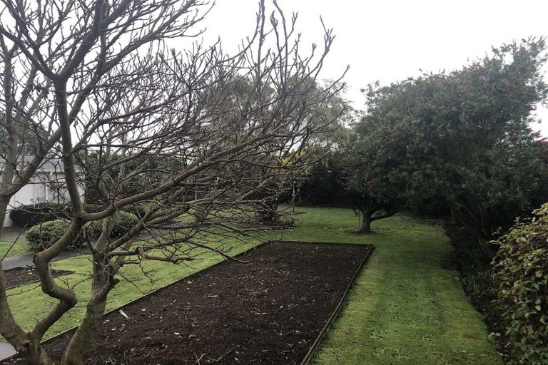 Photo of property in 52 Trafalgar Street, Levin, 5510