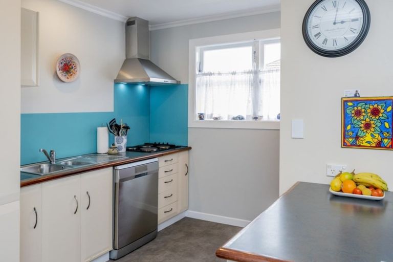 Photo of property in 55 Tiro Tiro Road, Levin, 5510