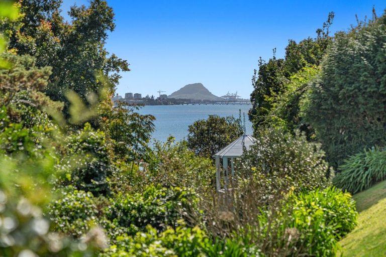 Photo of property in 45 Ririnui Place, Maungatapu, Tauranga, 3112