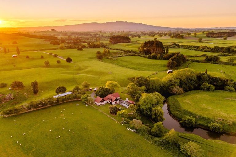 Photo of property in 248 Pokuru Road, Pokuru, Te Awamutu, 3875