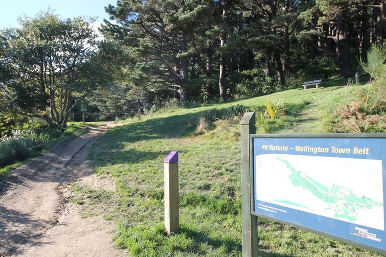 Photo of property in 105 Majoribanks Street, Mount Victoria, Wellington, 6011