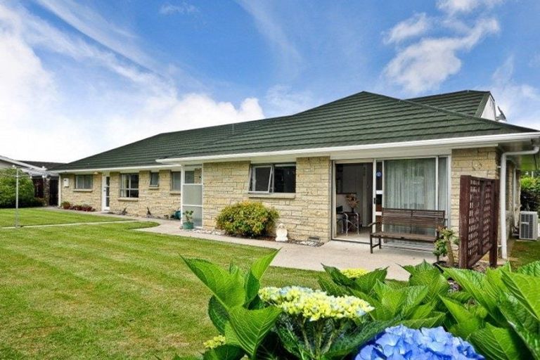 Photo of property in 3 Mcmeekan Avenue, Chartwell, Hamilton, 3210