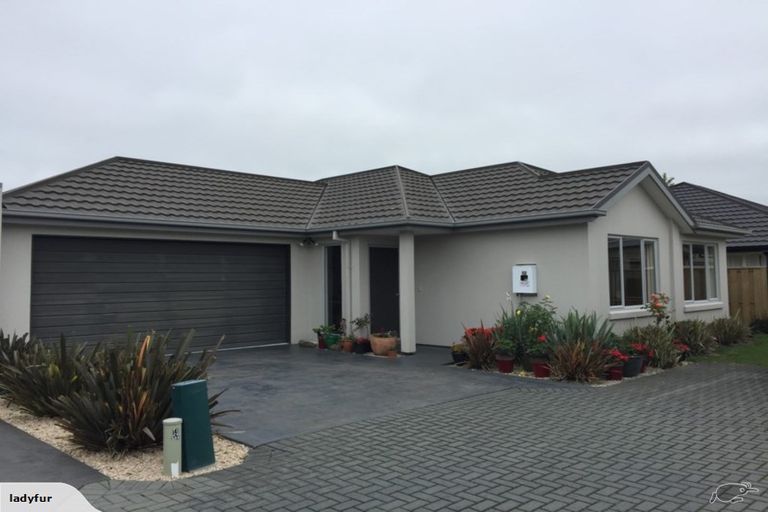 Photo of property in 62 Mahlet Street, Northwood, Christchurch, 8051
