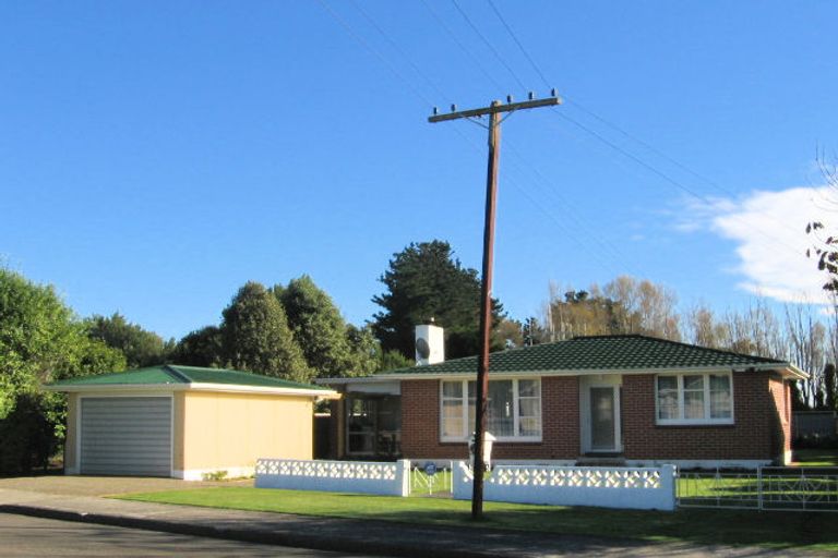 Photo of property in 45 Lemon Street, Otaki, 5512