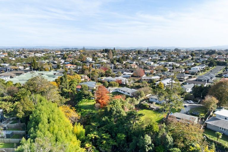Photo of property in 15 Murray Street, Maeroa, Hamilton, 3200