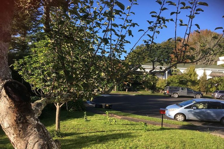 Photo of property in 20 Magnolia Street, Outer Kaiti, Gisborne, 4010