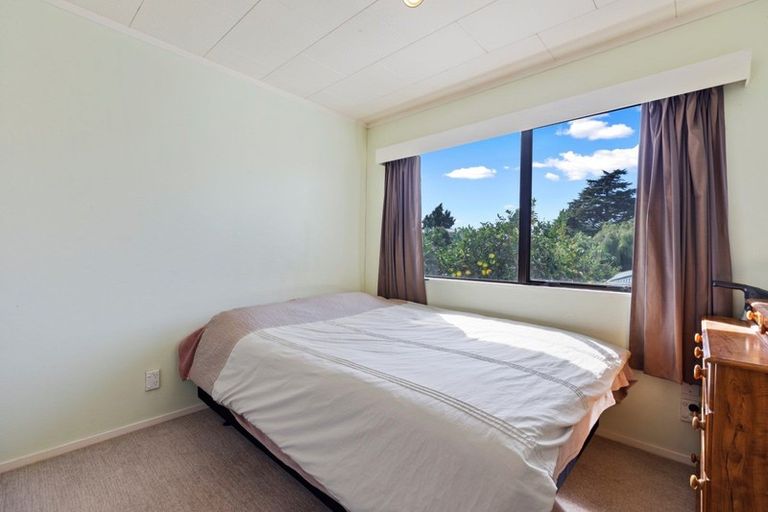 Photo of property in 36 The Drive, Brookfield, Tauranga, 3110