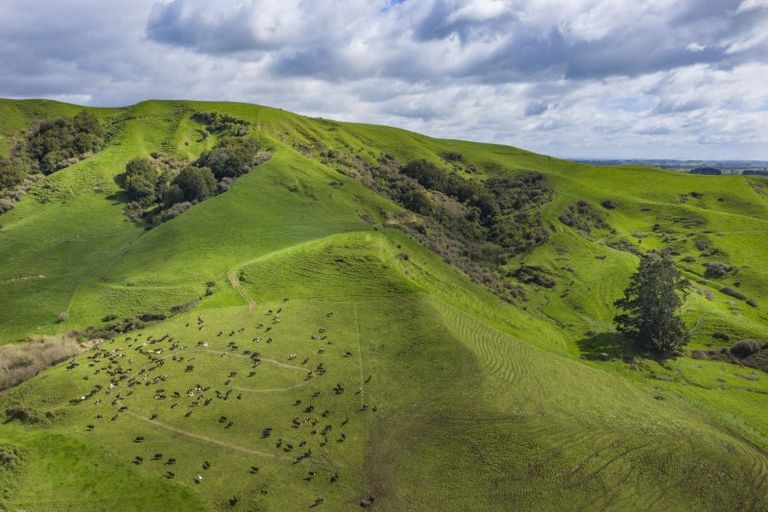 Photo of property in 196 Happy Valley Road, Owhiro Bay, Wellington, 6023