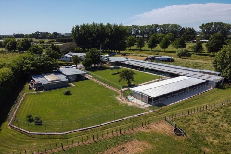 Photo of property in 41 Gavin Black Street, Meeanee, Napier, 4112
