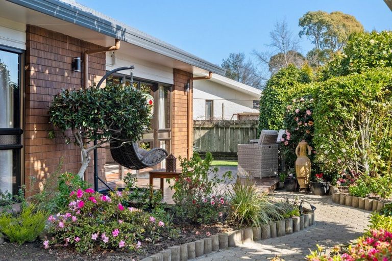 Photo of property in 8 Morrington Terrace, Witherlea, Blenheim, 7201
