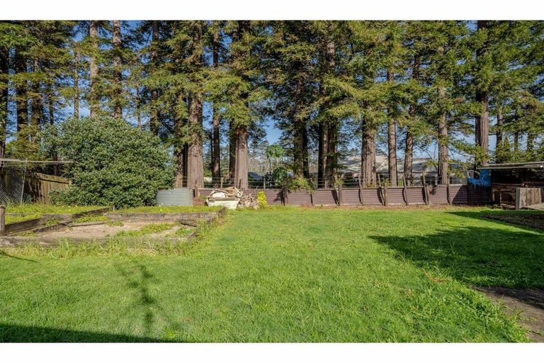 Photo of property in 11 Hawkings Crescent, Kerikeri, 0230